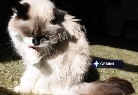 Gemini Watermark Remover