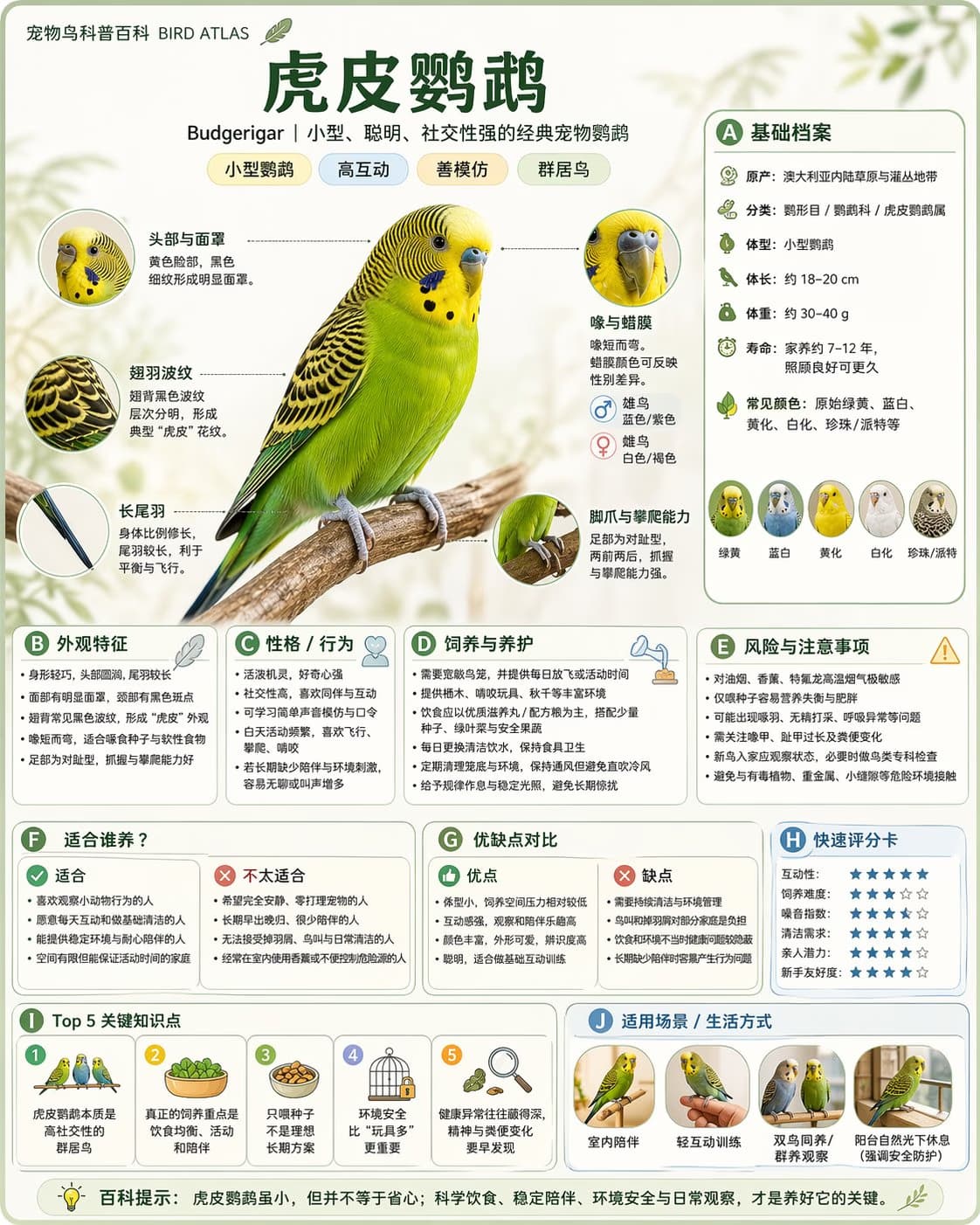 Encyclopedia Knowledge Card